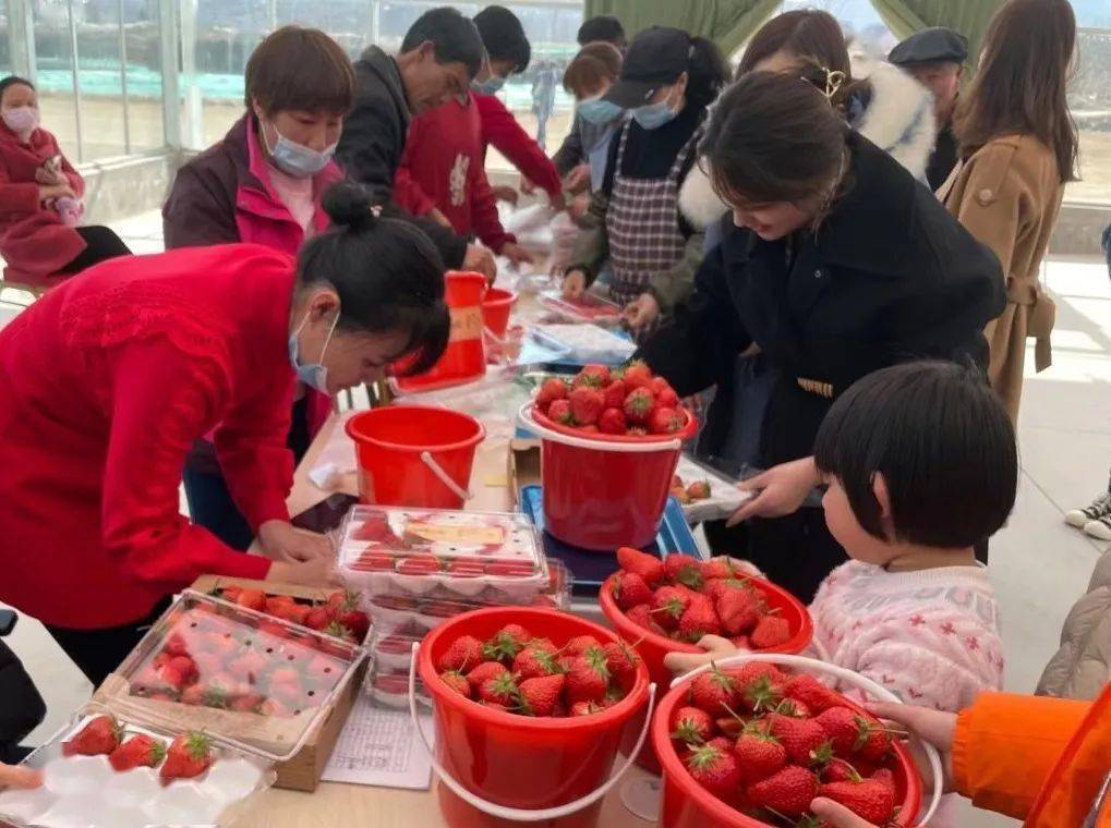 采摘莓好生活新春的第一颗草莓在空中