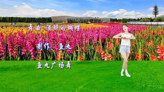 广场舞酒醉的蝴蝶蝴蝶为花醉花却随风飞真醉人