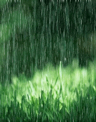 雨水风景动态图片图片