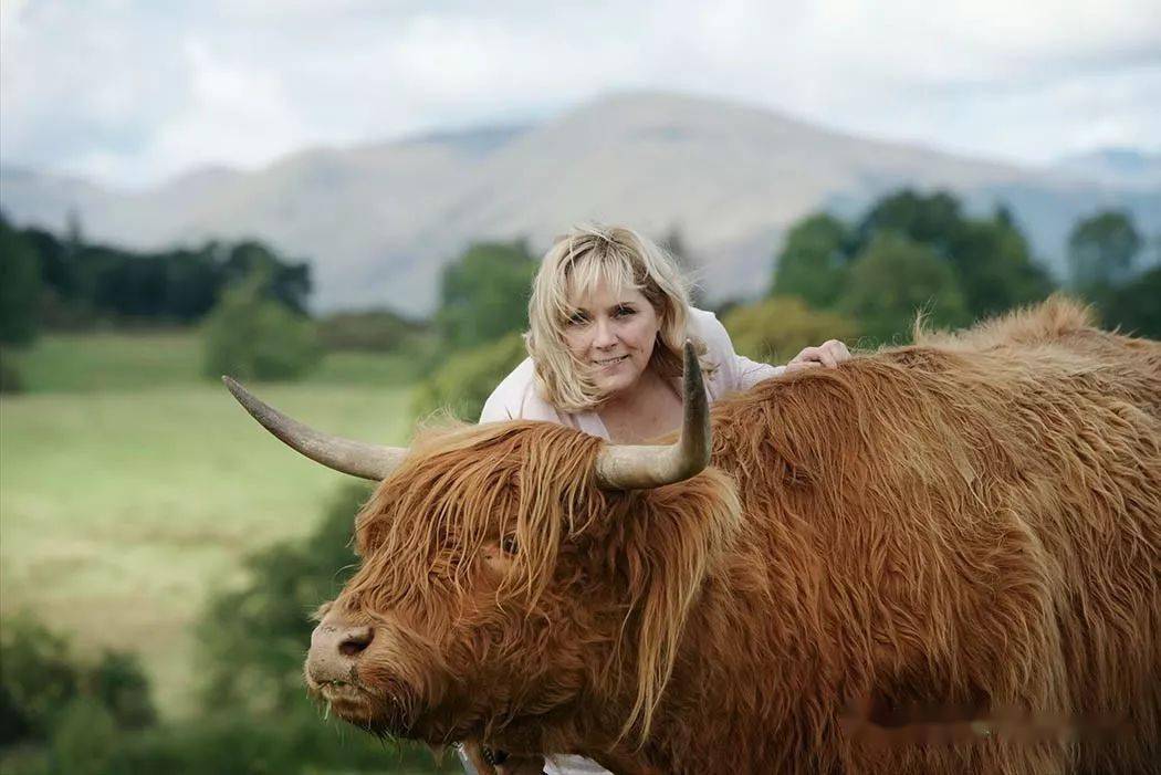 这只牛喜获牛年牛界最佳发型