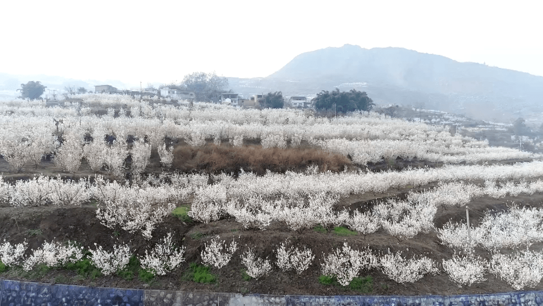 水城发耳镇人口_威尼斯水城图片(3)