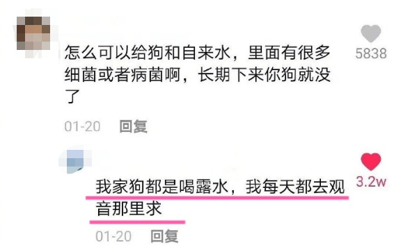 抖音神回复文案绝了哈哈哈
