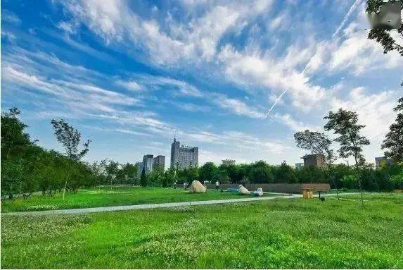 在公园里转转转,摆脱【假期综合症】!_曲江池