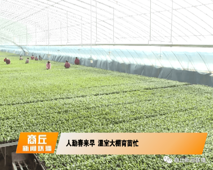 野岗镇人口_人口普查图片