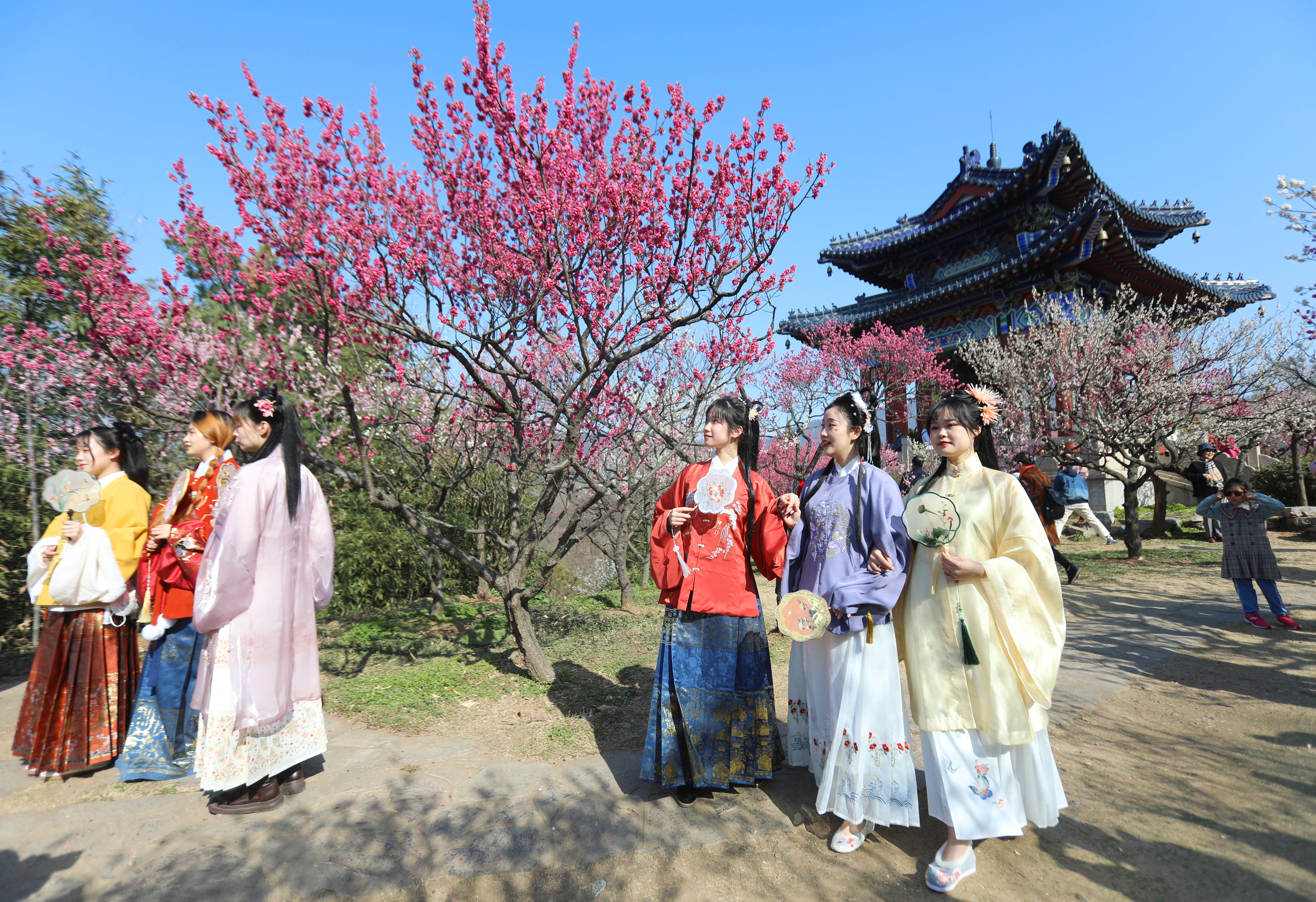 南京国际梅花节开幕
