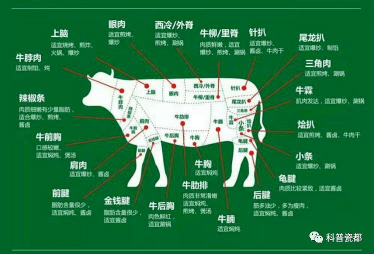 干饭人必看 关于牛肉 那些你不知道的事 沙朗 干饭人必看 关于牛肉 那些你不知道的事 沙朗
