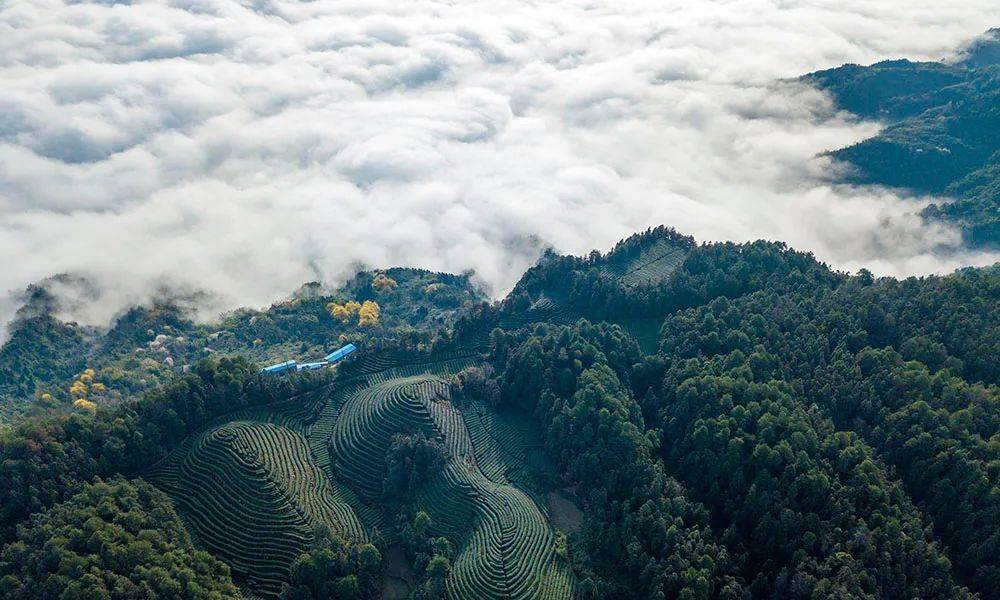 美圖| 航拍重慶石嶺山雲海 氣勢磅礴蔚為壯觀_巴南區