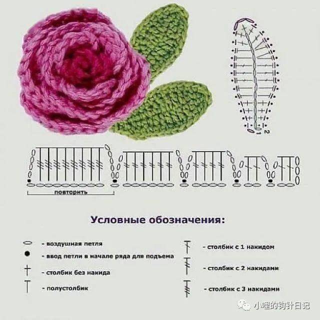 满屏玫瑰花,愿梦里都是甜的._螺旋