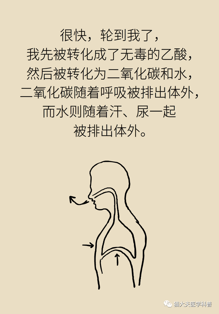 efd2cc8f2e7f43e1b24af093f98a0a5e.png