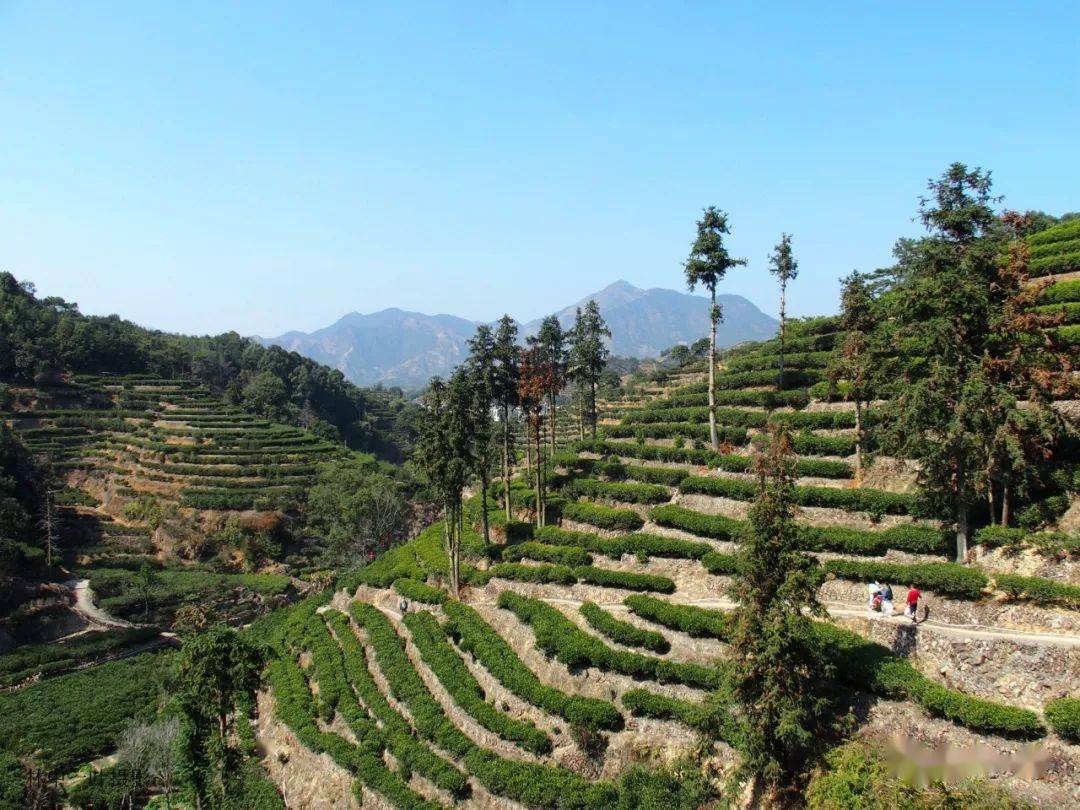 棋盘～深坑～石古坪游记