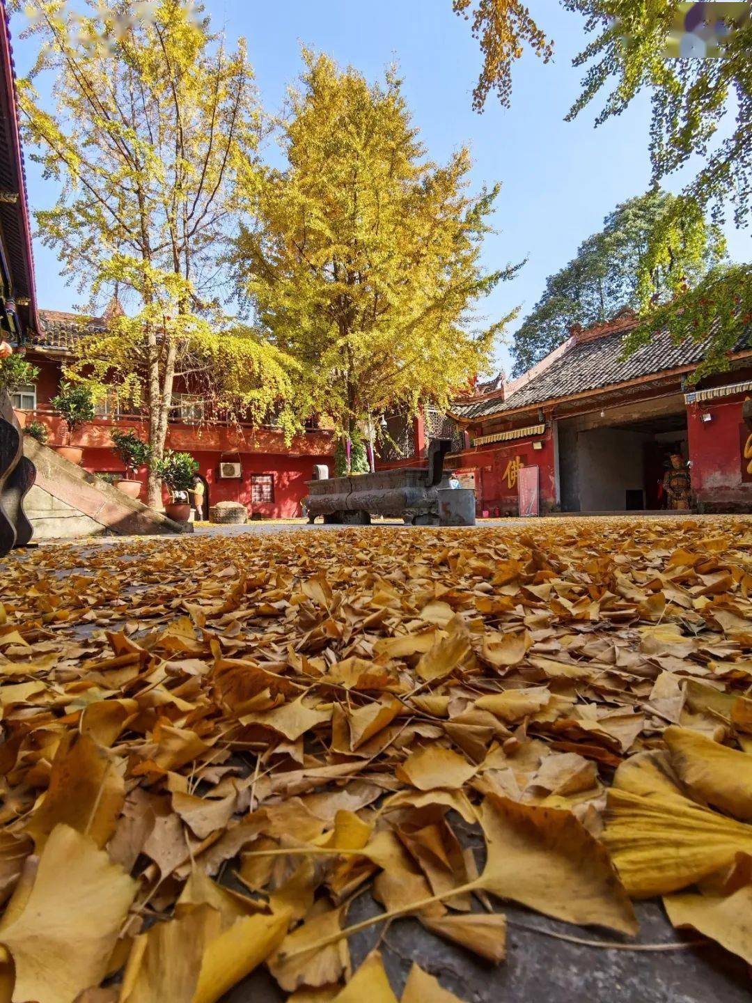 仁寿,舍不得你!_黑龙滩