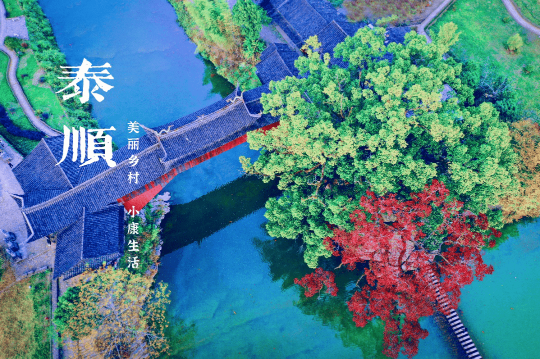 温州桥下镇人口_温州各区人口(2)