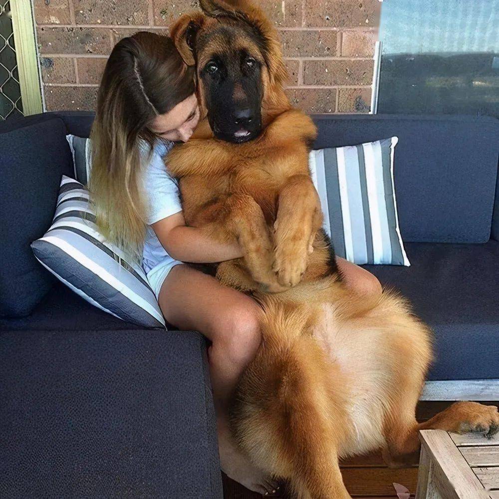 98a8b8bd77c746dda1c690b2bdefd537.jpeg