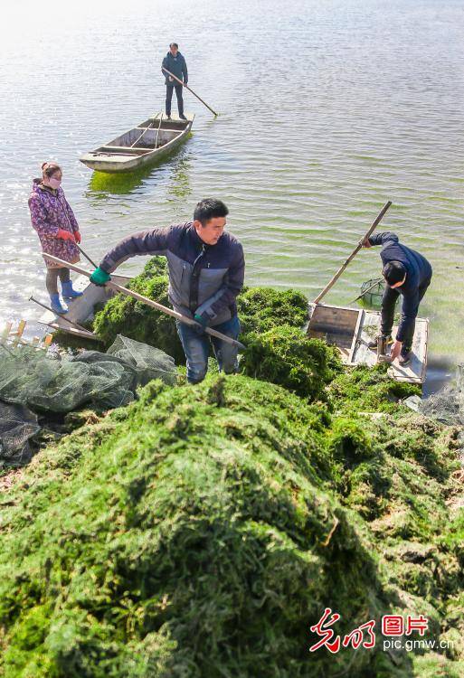 江苏省泗洪县2021gdp_江苏省地图(3)