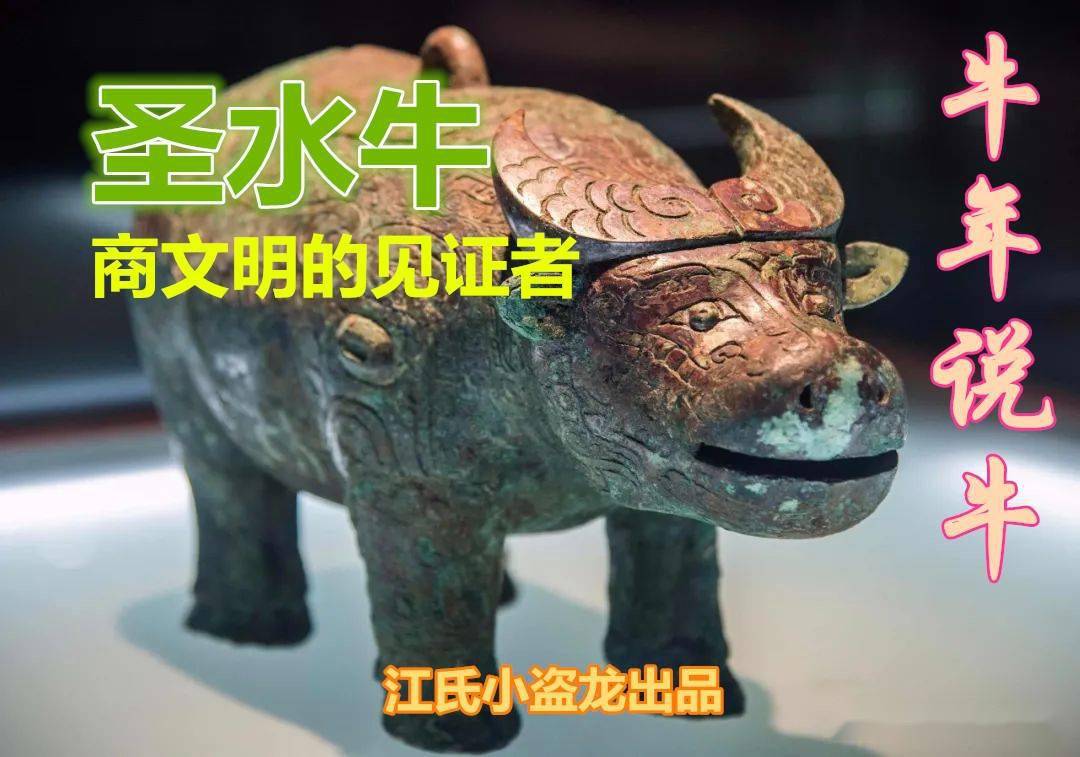 圣水牛( bubalus mephistopheles )是一种生活在全新