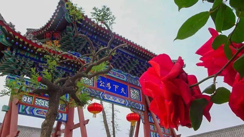 定州市人口多少2021_2021新年快乐图片