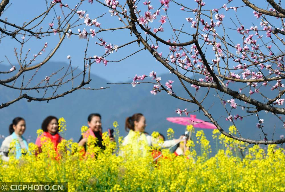 湖南道县：春花烂漫引客来