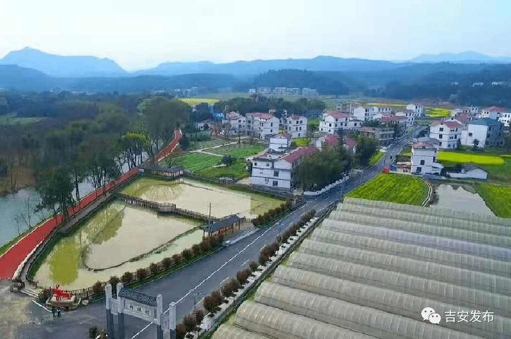 赴万安游览田北农民画村(或贵澳鲜花小镇,下午赴遂川游览草林红圩