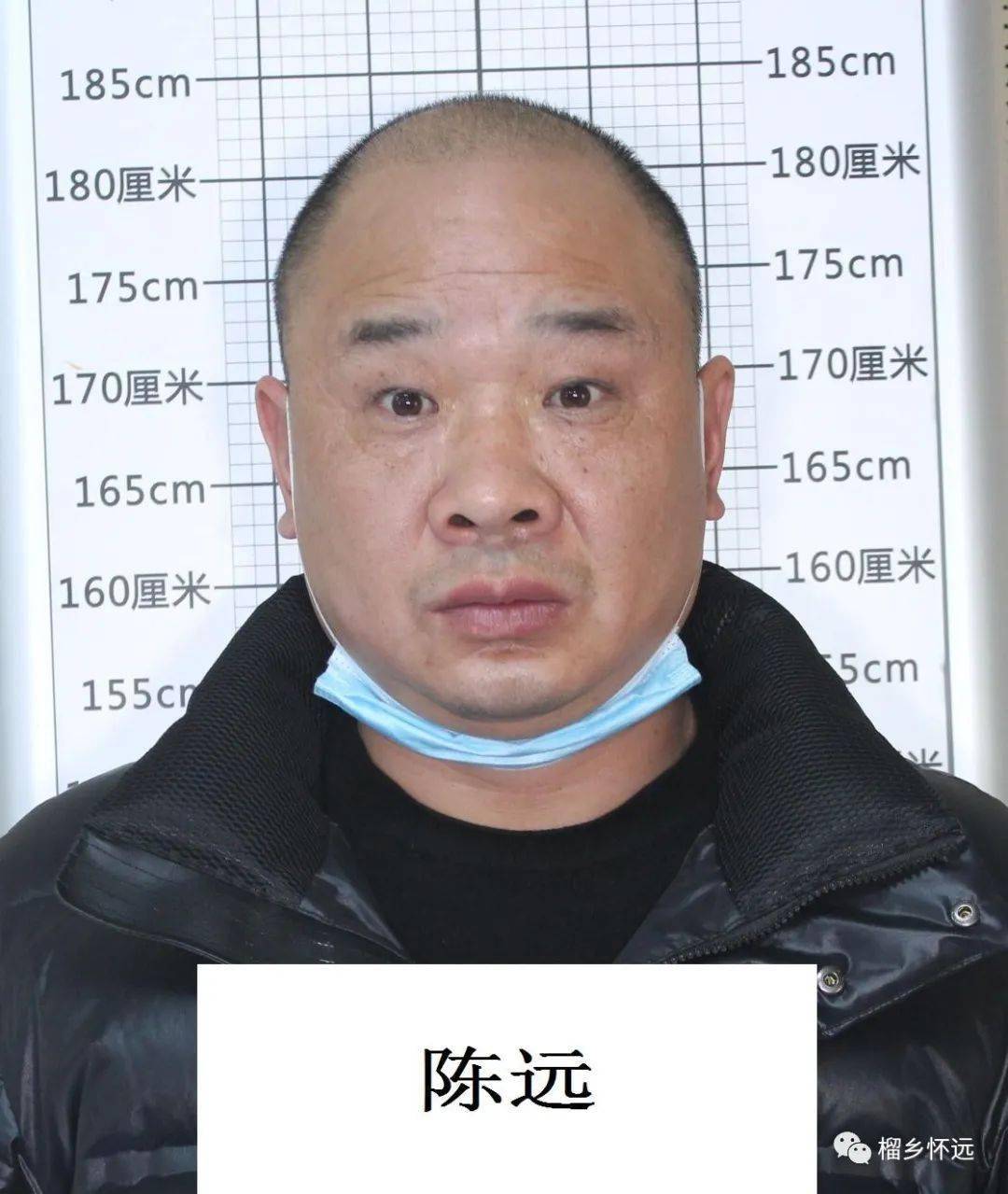 陈远(绰号:三勇):男,汉族,46岁,户籍地址:安徽怀远县唐集镇山前村塘西