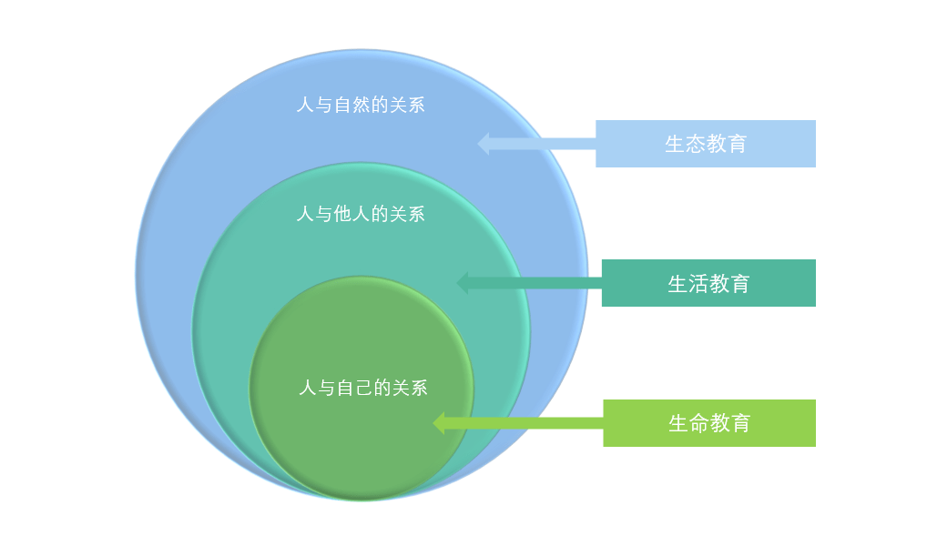 人口与教育的关系_人口与生态环境关系(2)