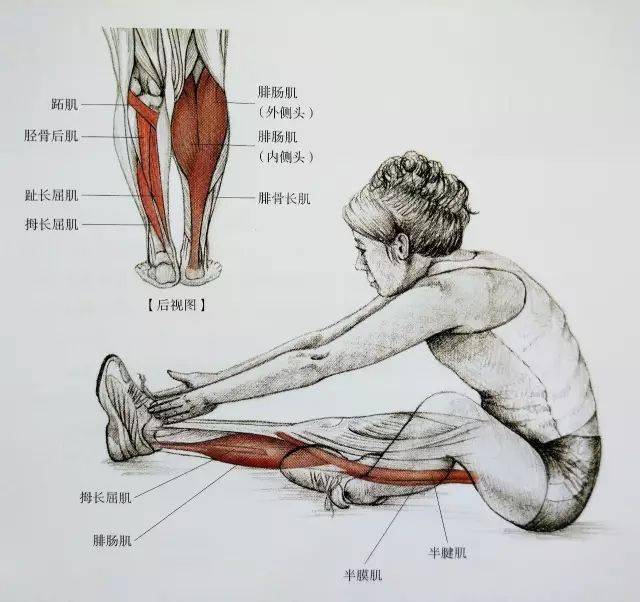 经典21点平台