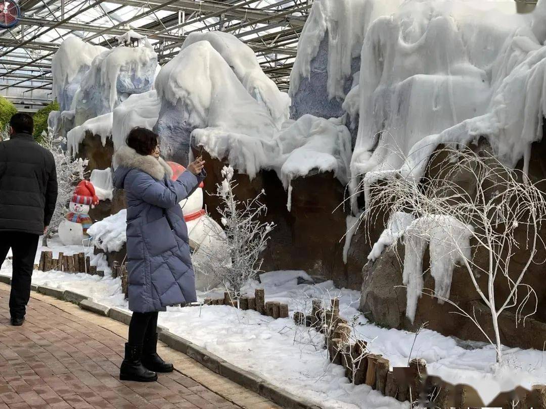 長春農博園新春遊園會來咯!七大特色看點帶你逛遍全世界!_農業