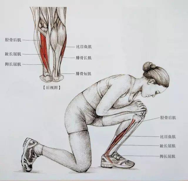 经典21点平台