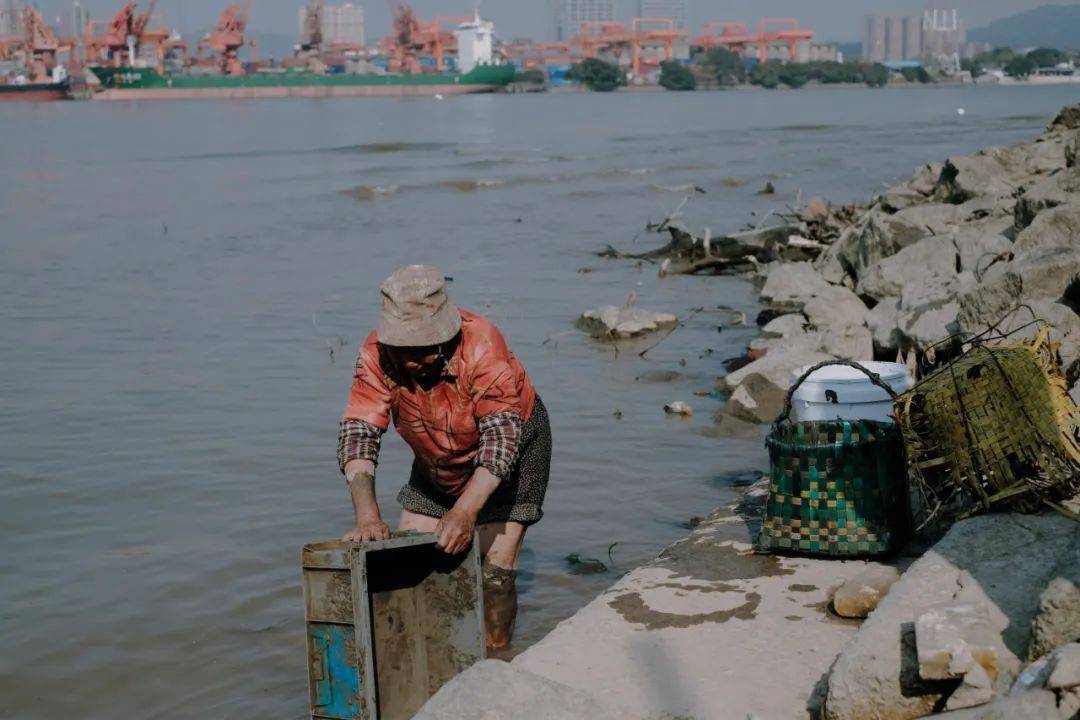 广州有一座孤岛岛民夜不闭户出岛只能靠船