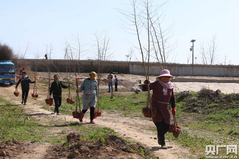 彭泽县芙蓉墩镇五联村人口_彭泽县地图