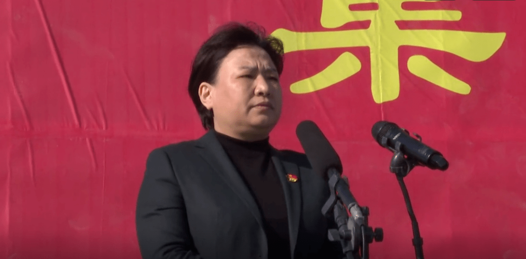 县委副书记李志华主持开工仪式.