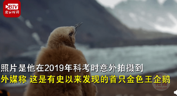 c76c042d960644fa92468db8a08ec38a.png