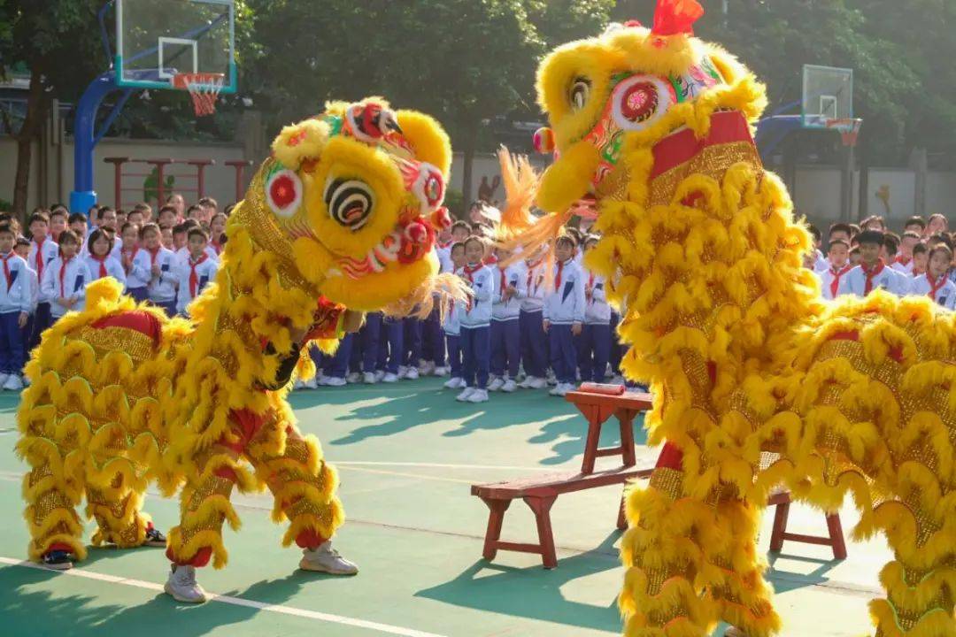 沙面小学开学礼舞狮进校园秀出年味别样精彩