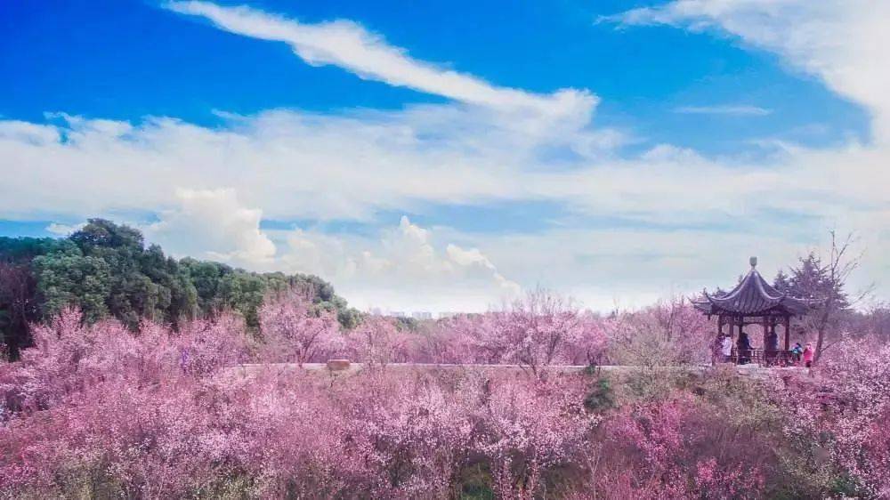 2021年扬州有多少人口_2021年扬州土地出让