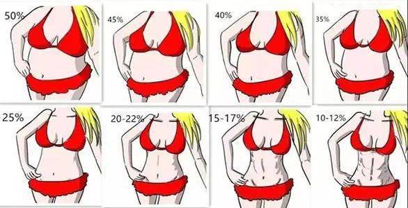 女生体脂率32%图片