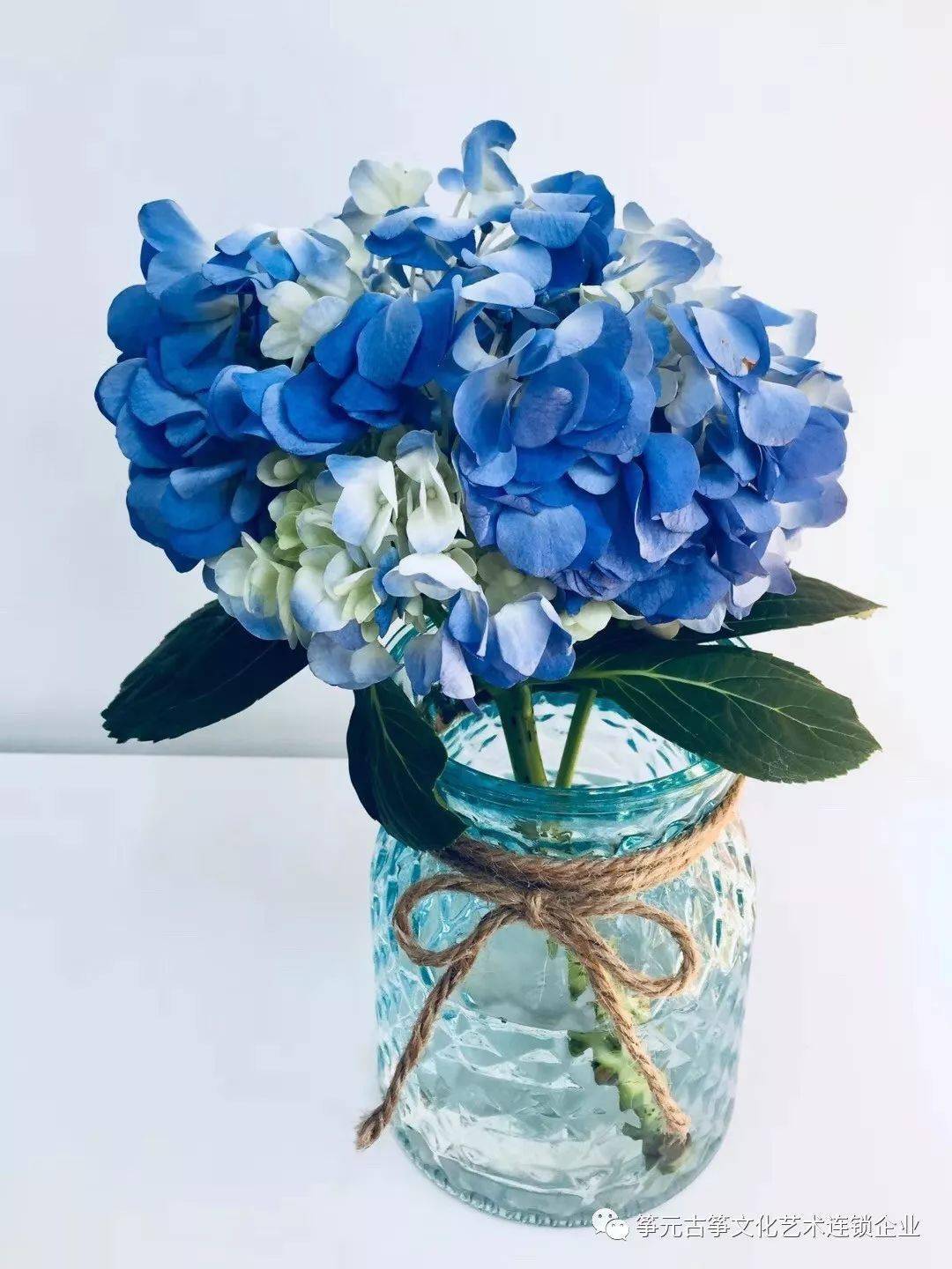 Angela S English Once In A Blue Moon 英语