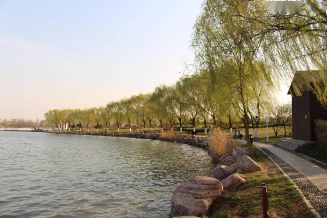 平阳凤湖公园图片图片