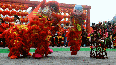消灾除害,求吉纳福,至今已有1500年历史的舞狮表演,欢腾跳跃,辗转腾挪