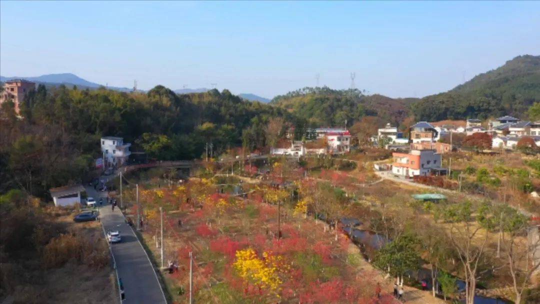 丰良三山村灼灼桃花靓丽乡村