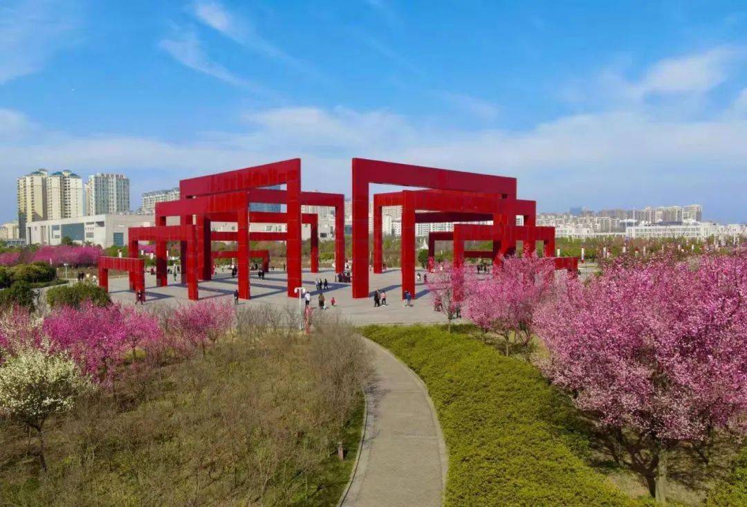 未来一个月我市多条赏花线路等你来_樱花