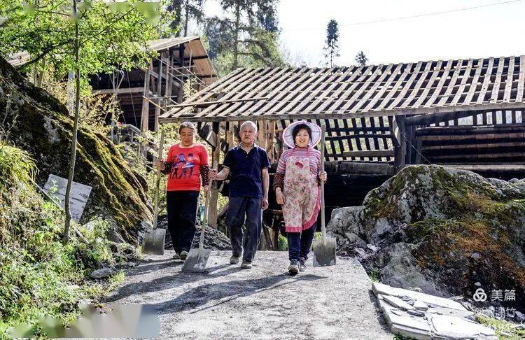 大鹏村有多少人口_大鹏展翅图片