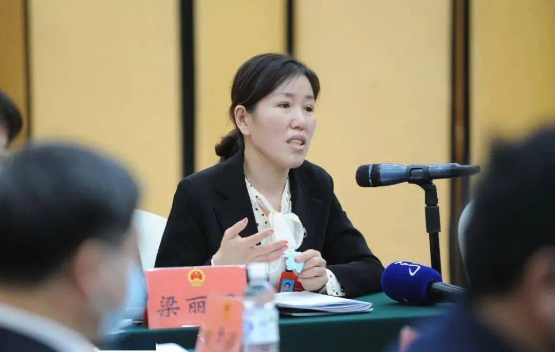 双鸭山代表团蔡炳华代表双鸭山代表团小组会议