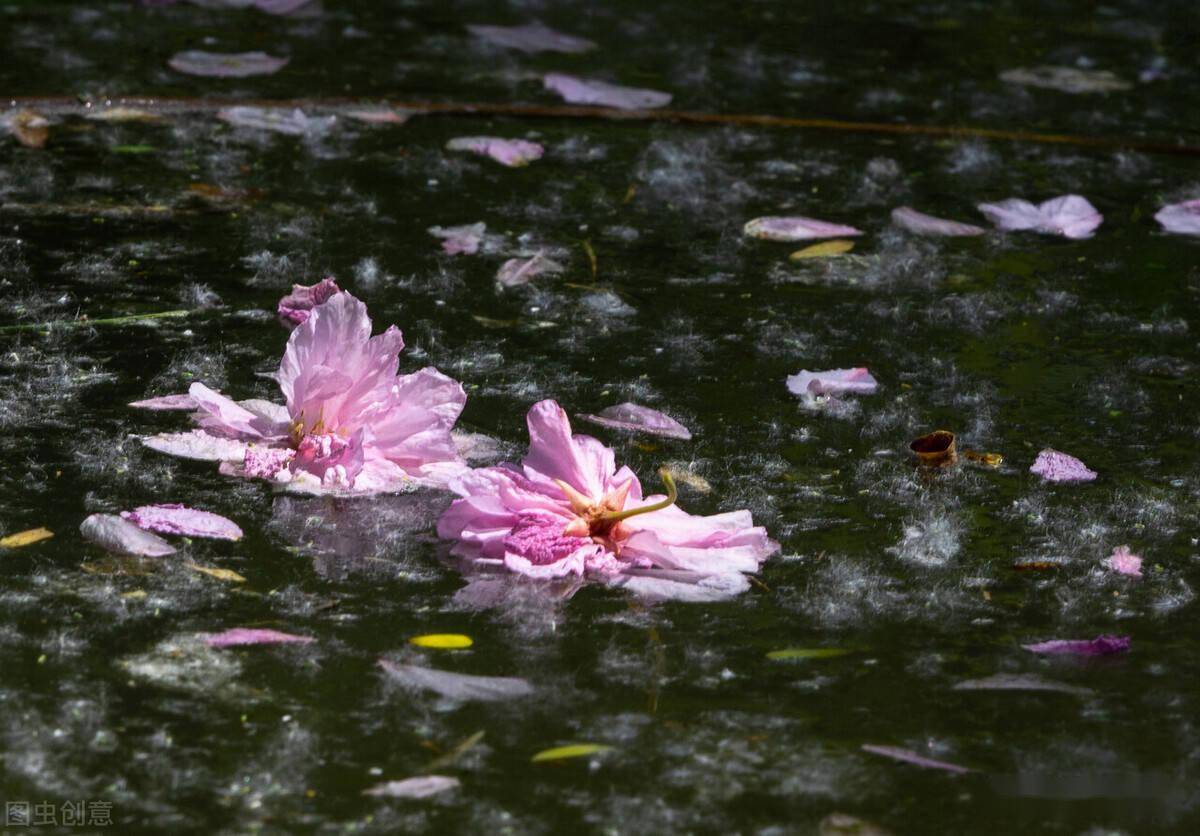 花伤感流水图片