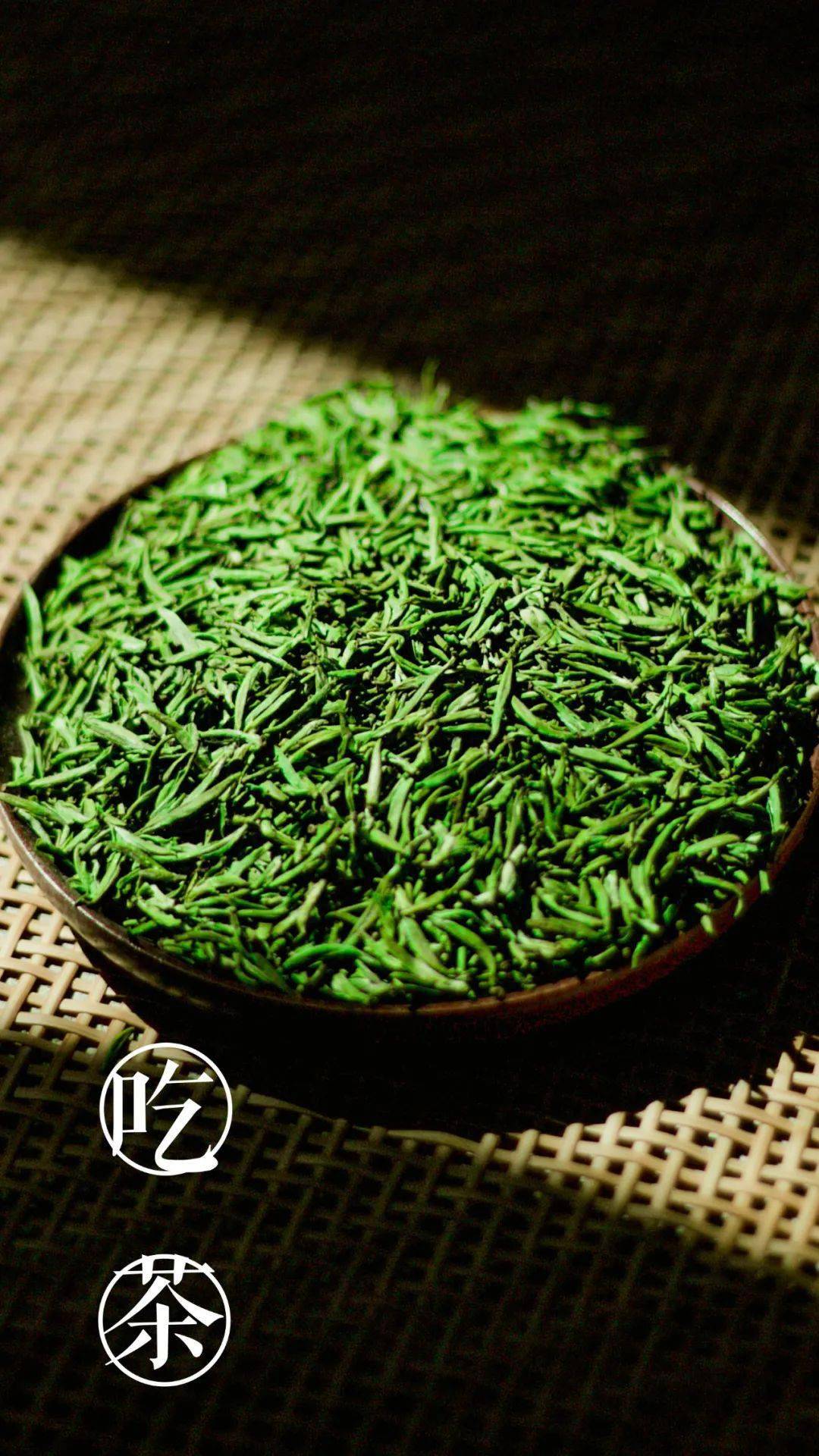 正是一年春好时,来自深山的惠明茶已经长出嫩绿叶芽