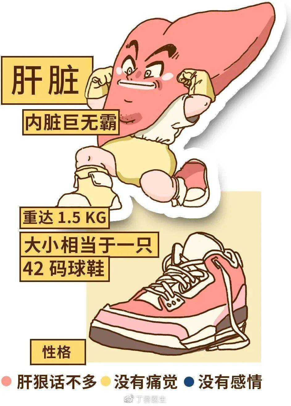 66136d6a54d7430682d4409f7d42d350.jpeg