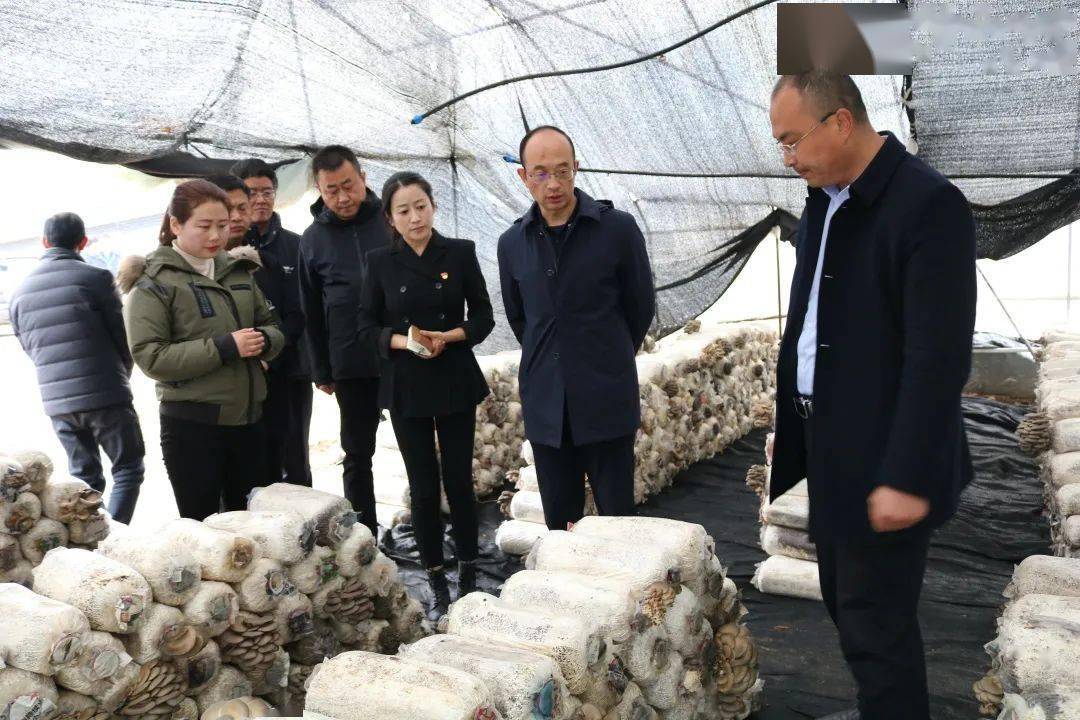 【左家动态】陇南市政府党组成员,副市长李荣一行深入左家乡调研特色