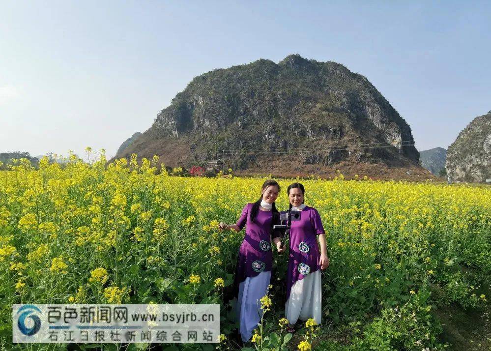 百色处处春色迷人快约上好友出门赏花拍照吧