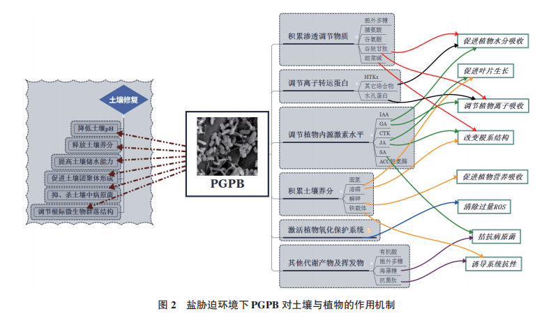 盐的作用及原理是什么_盐砖有什么功效与作用(2)