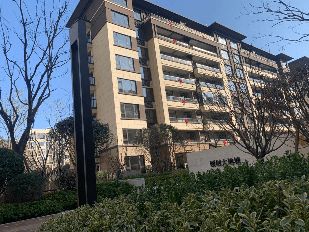 领创集团总经理杨帅令深耕平顶山践行一个本土房企的担当