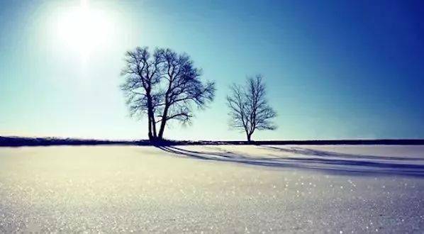 三十而立四十而不惑五十而知天命 93f68fddfb834ddb903bb725ca3aefd8.jpeg