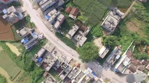 广西百色市有多少人口_广西百色市